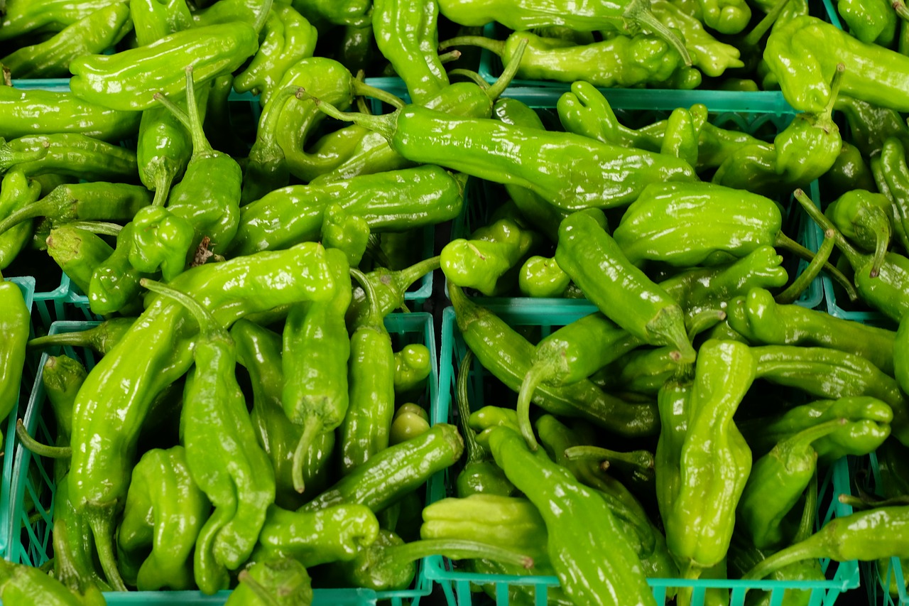 green peppers peppers vegetables free photo