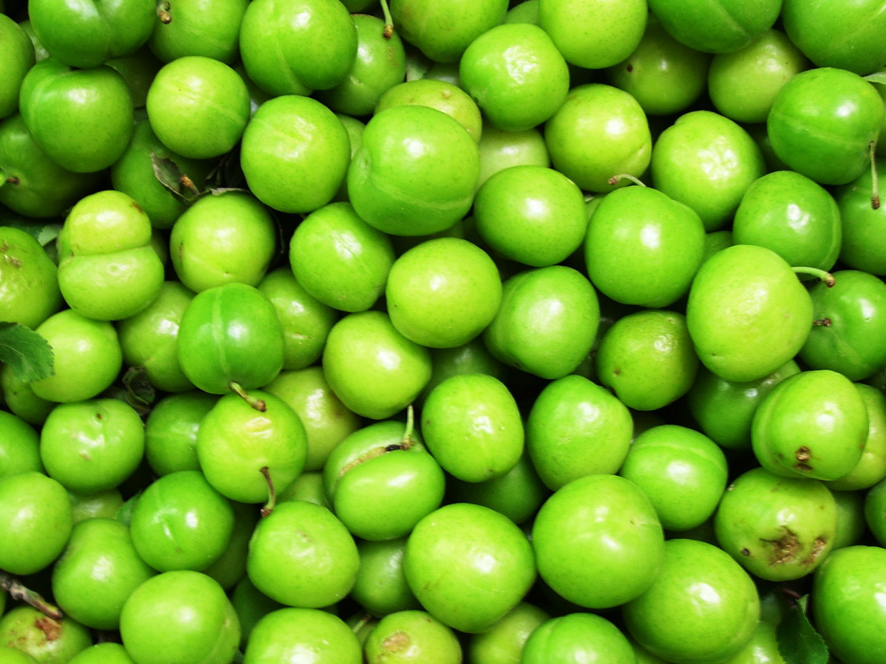 green plums green plums free photo