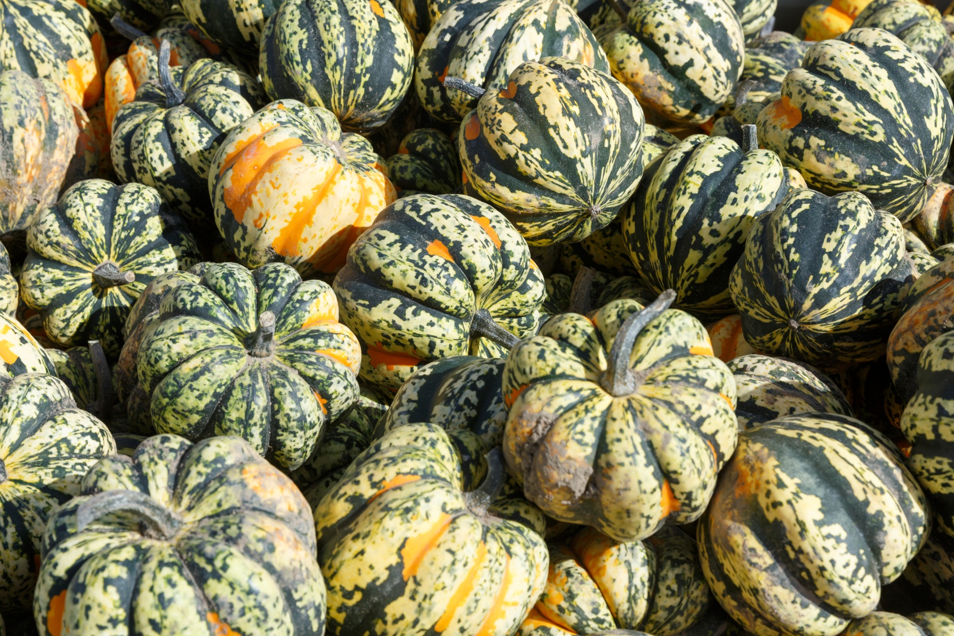 agriculture autumn background free photo