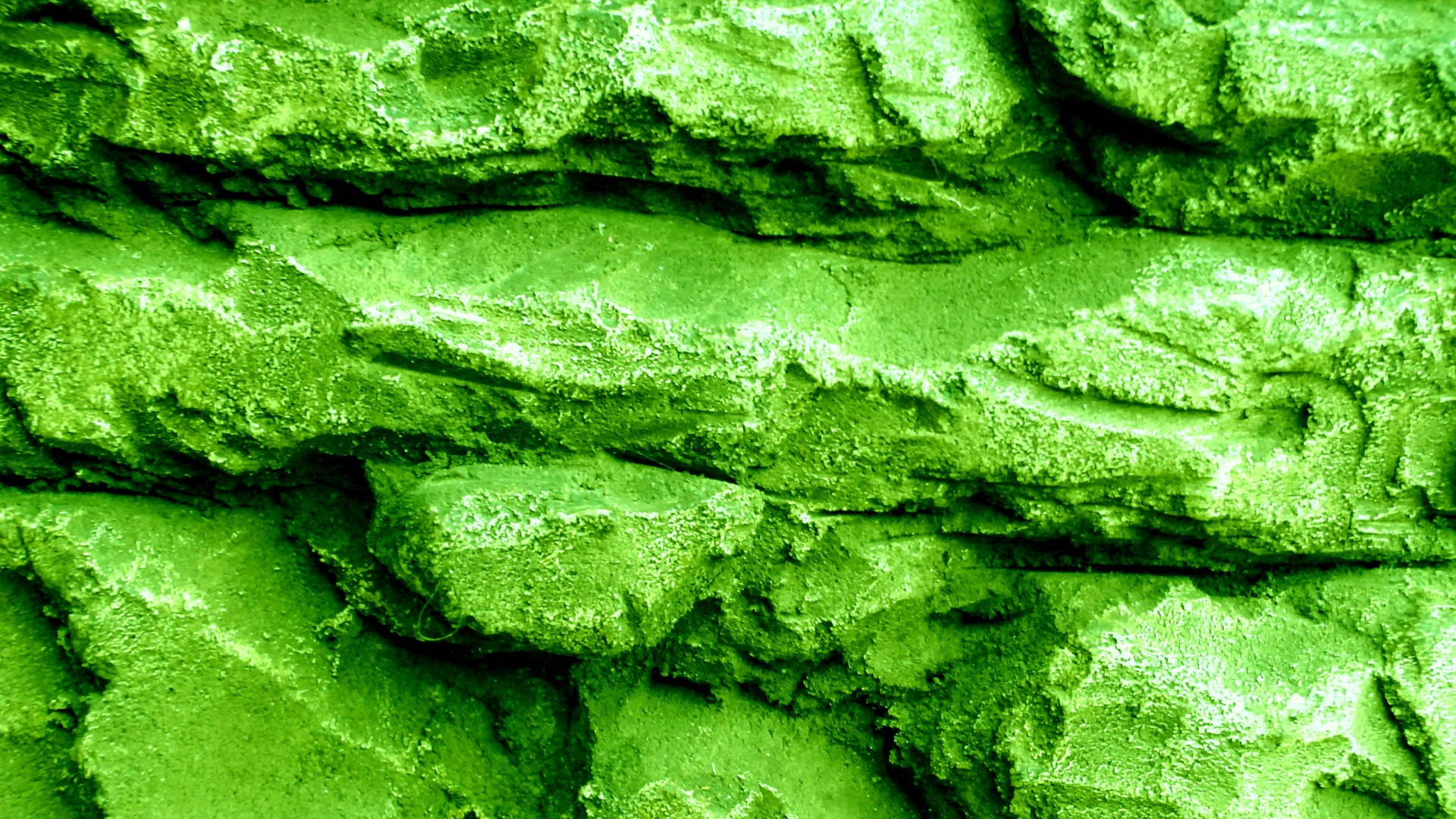 green background web free photo