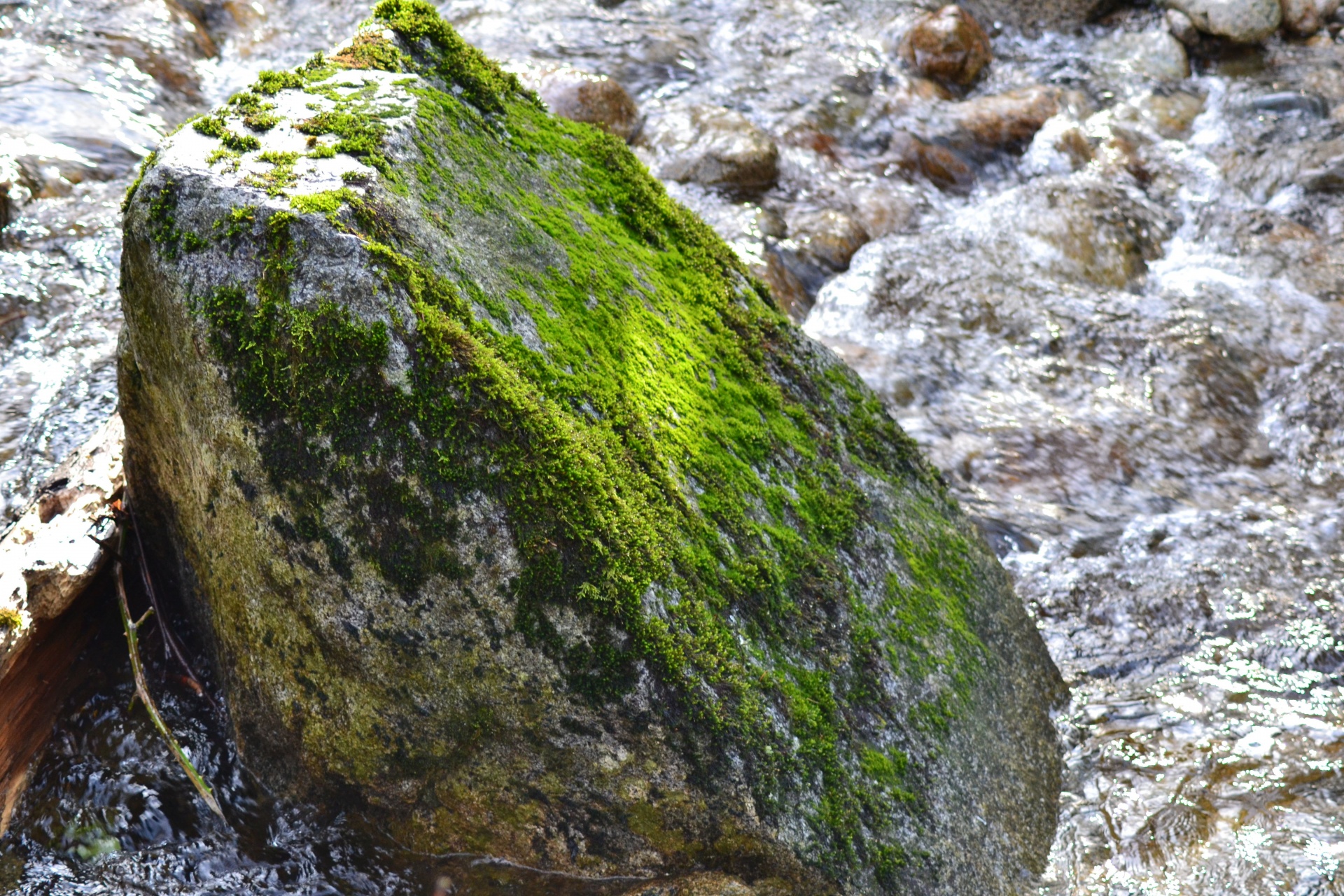 rock boulder green free photo
