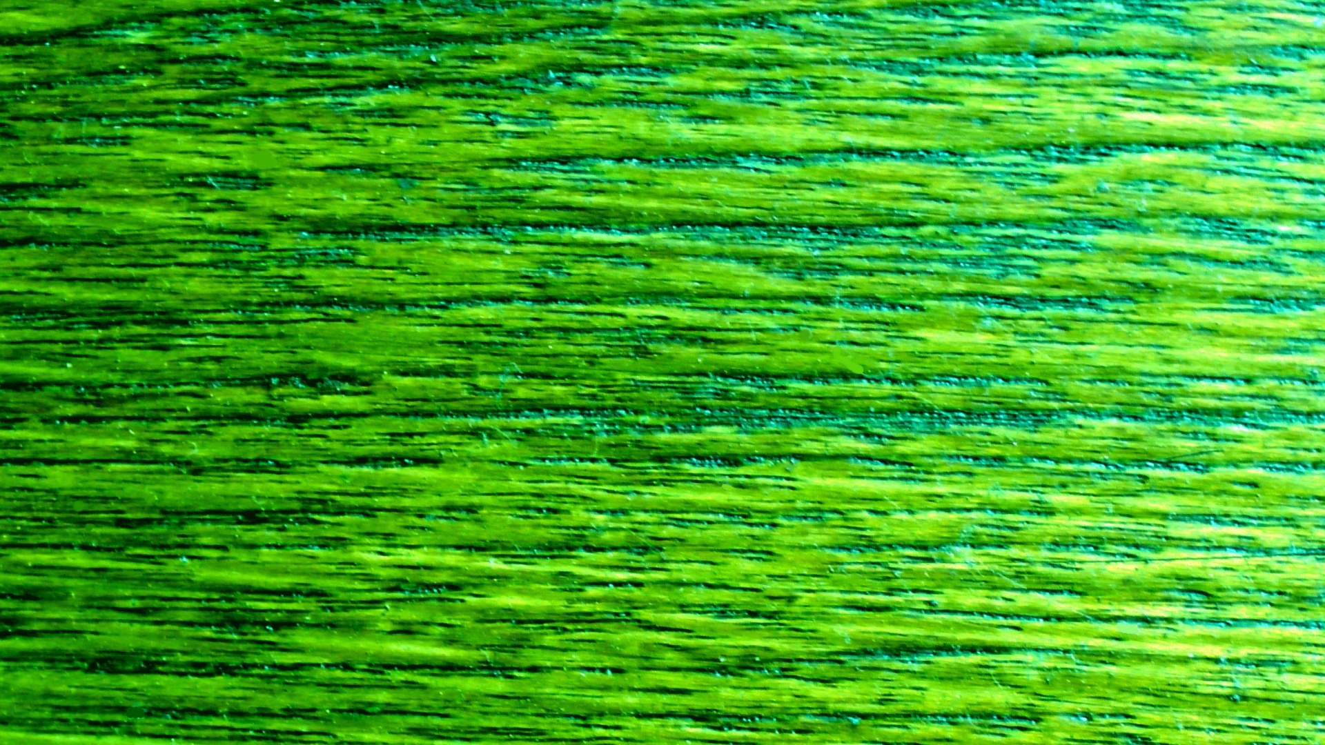 green wallpaper background free photo