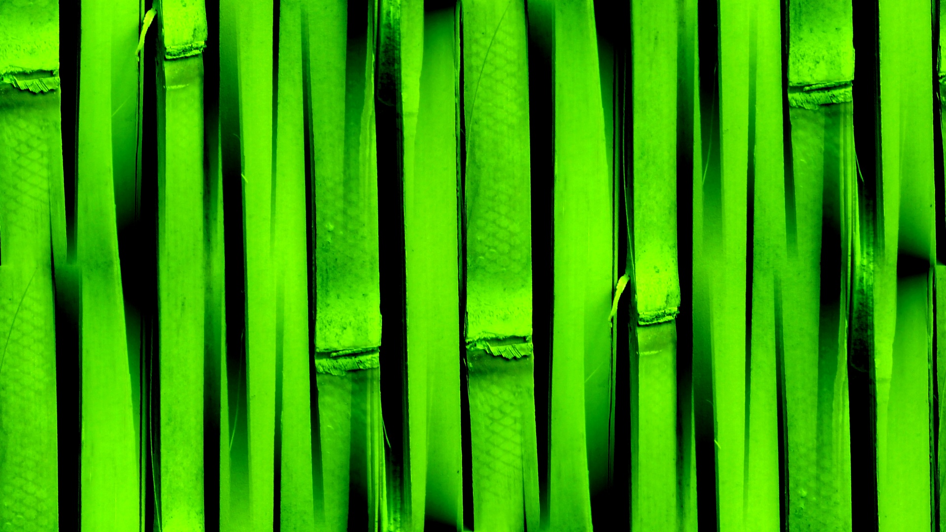 green wallpaper background free photo