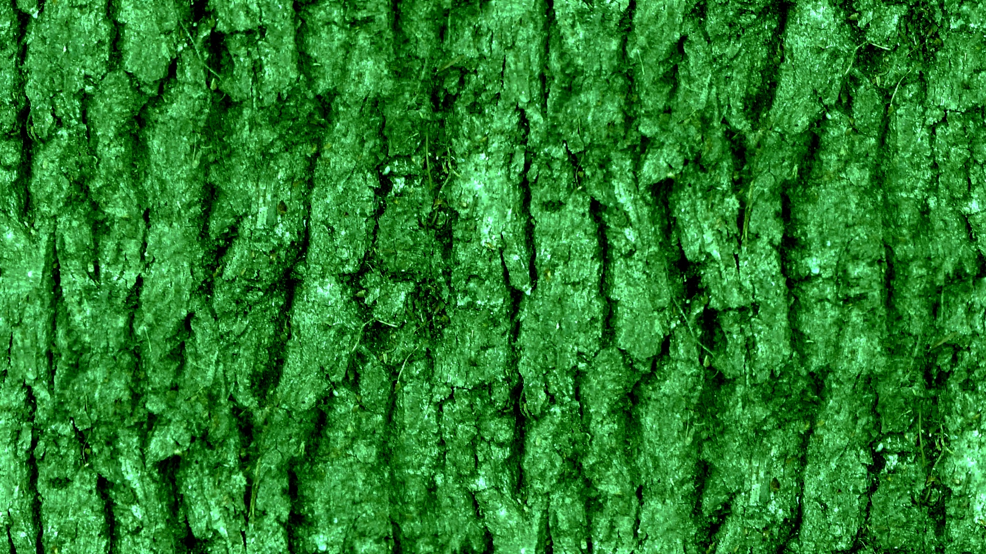 green wallpaper background free photo