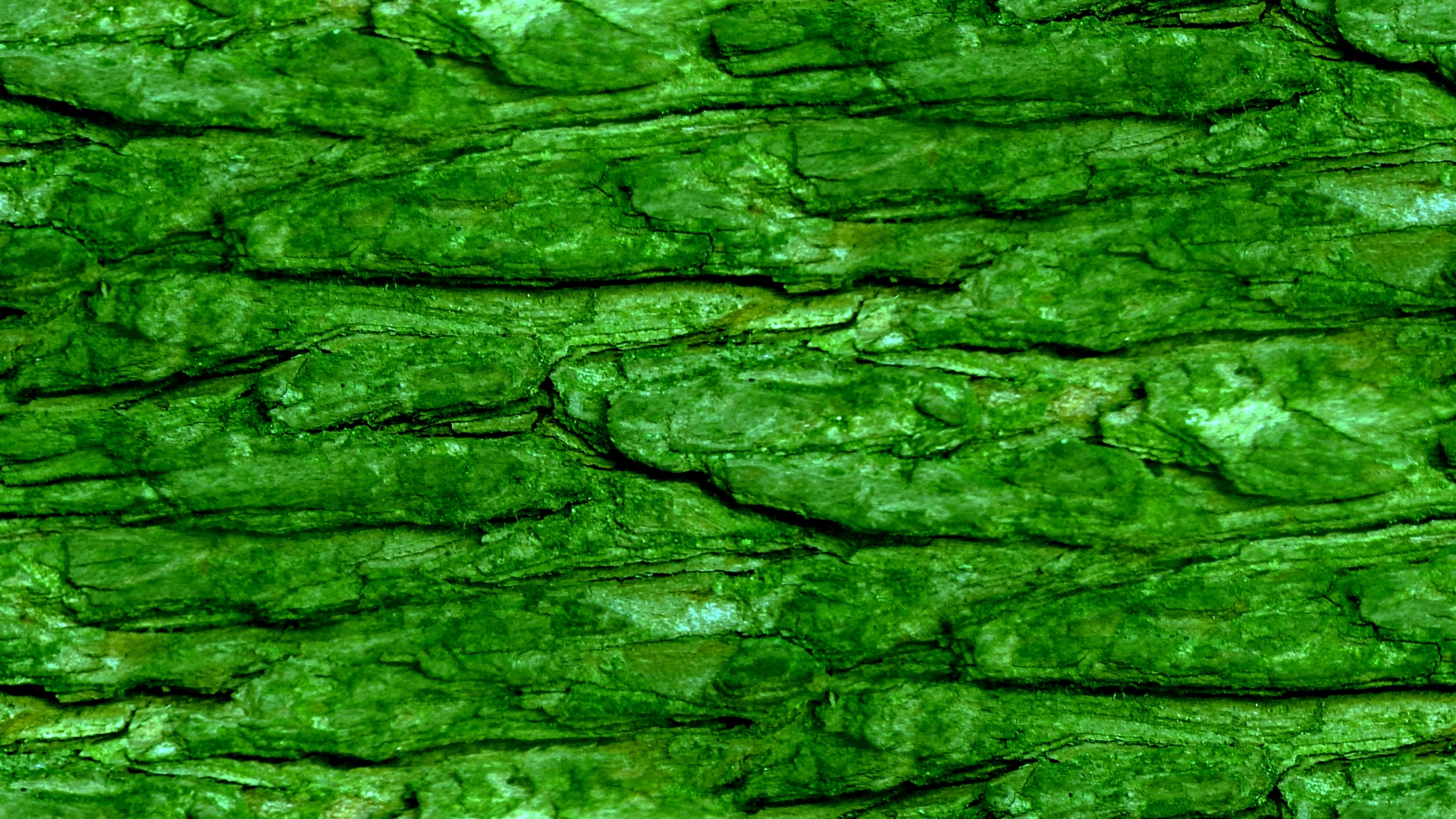 green wallpaper background free photo