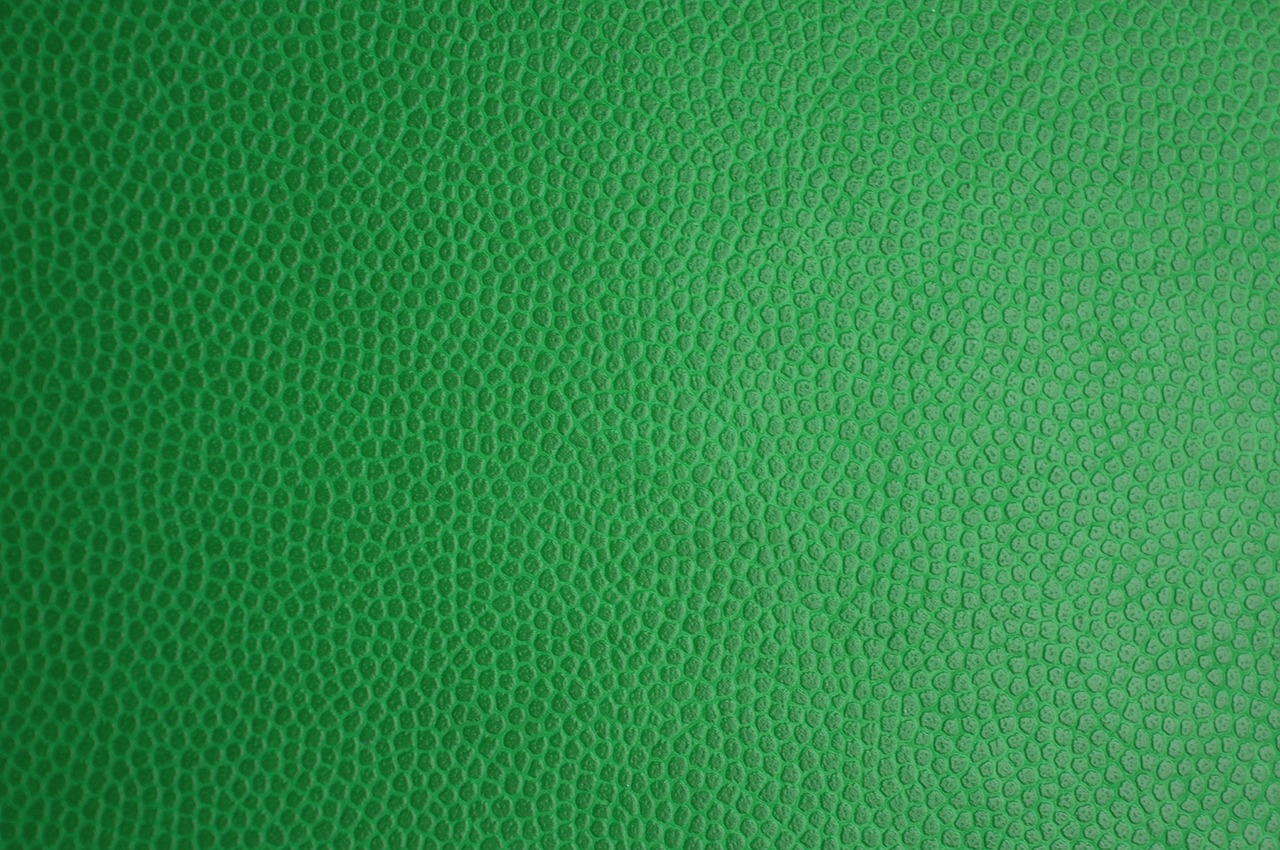 green skin leather texture leather free photo