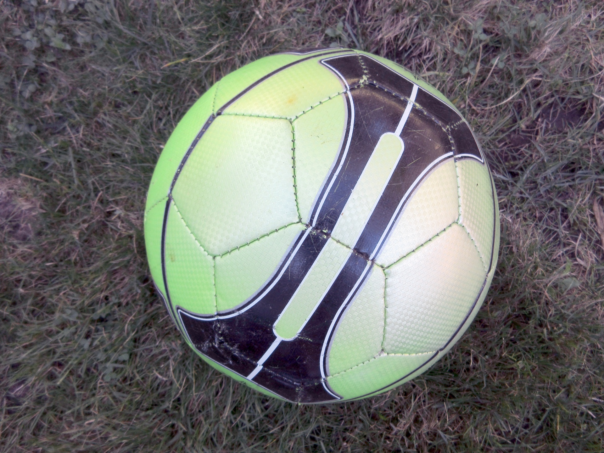 green soccer ball free photo