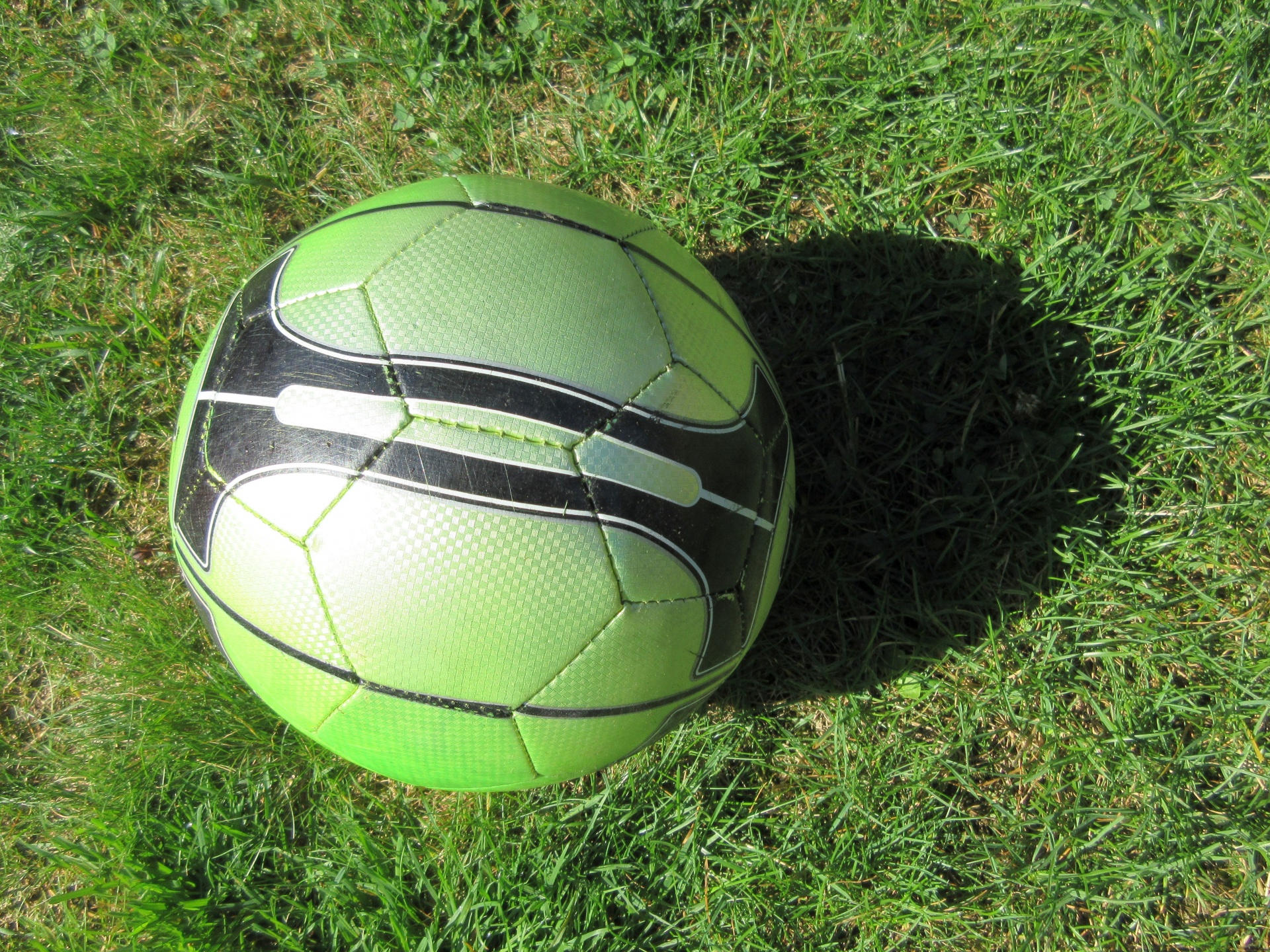 green soccer ball free photo
