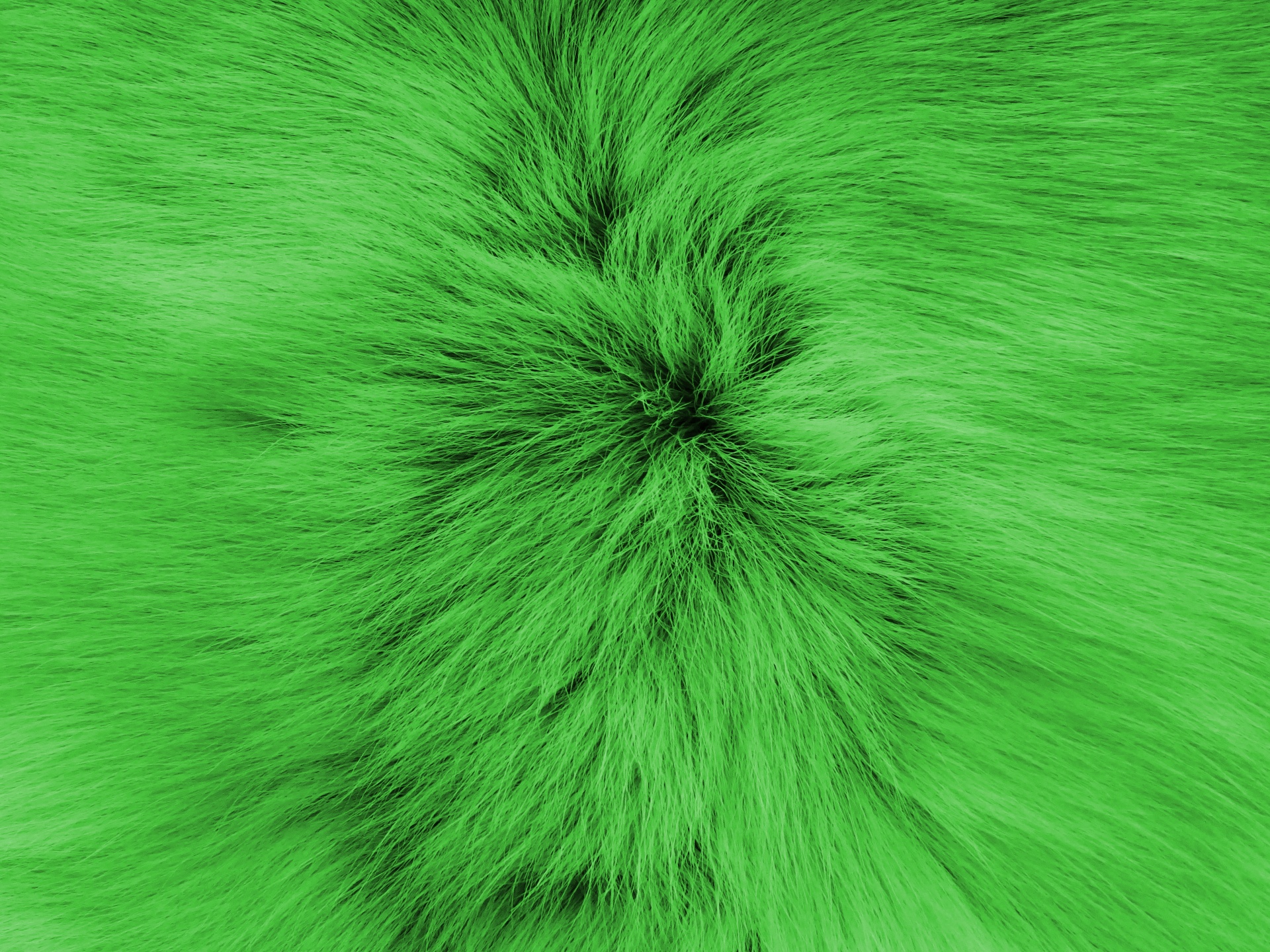green backgrounds fur free photo