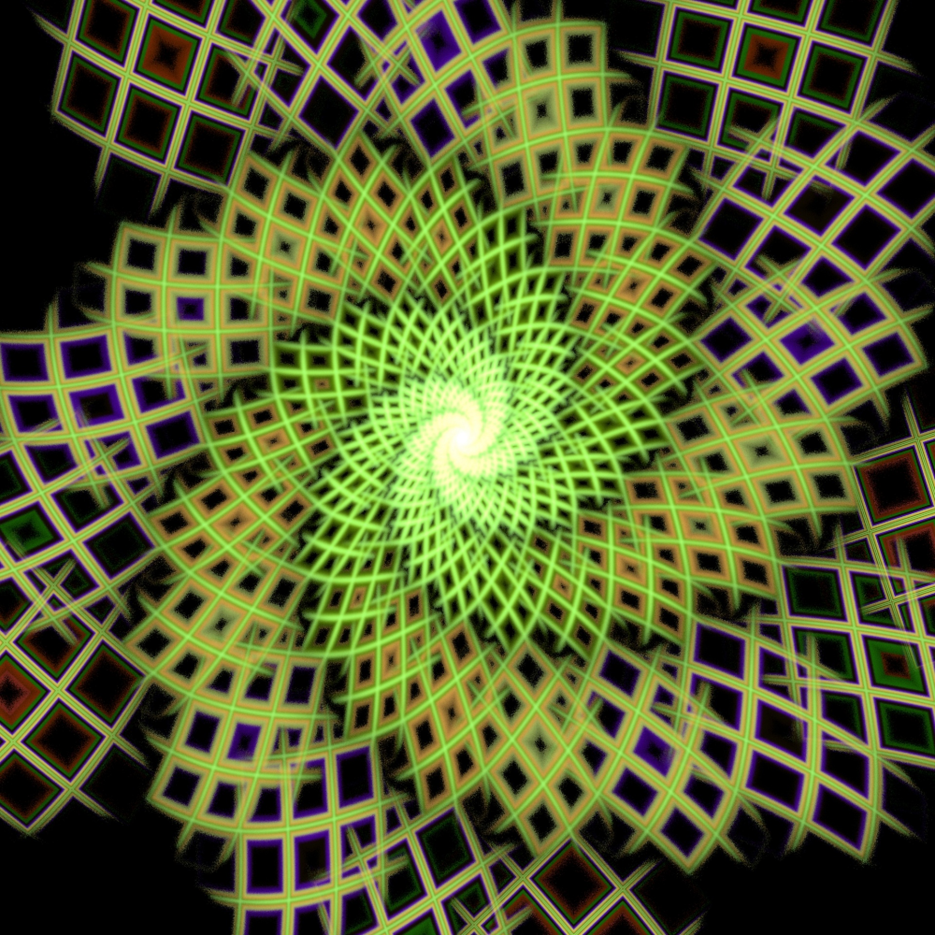 green spiral net free photo