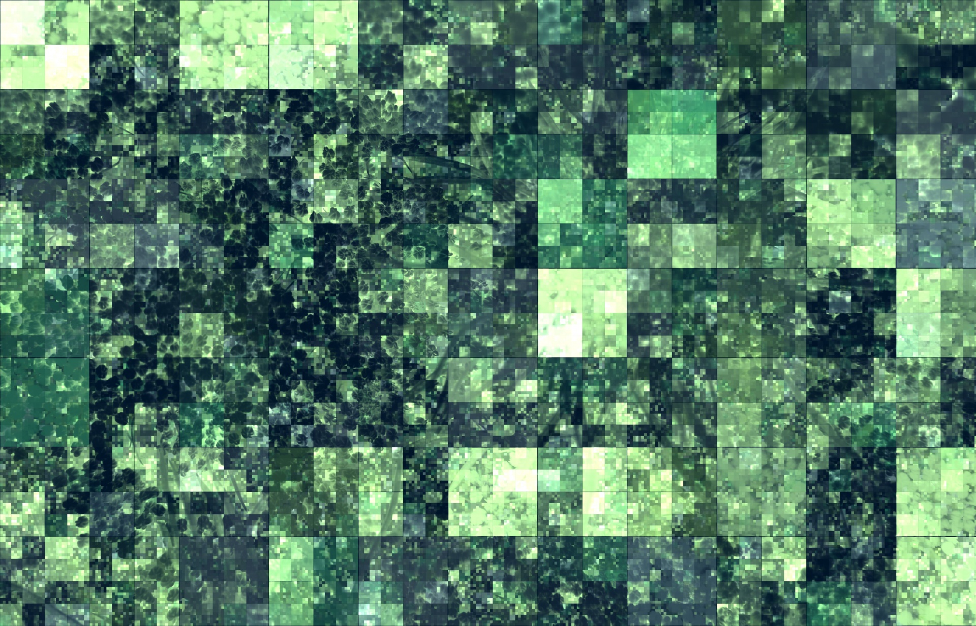 background green squares free photo