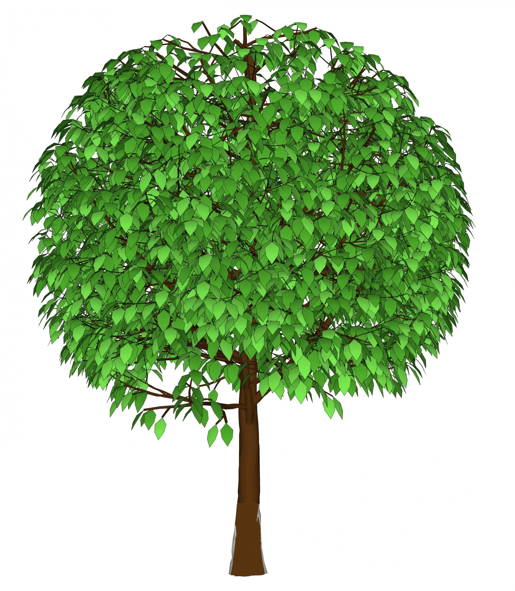 Drawing,tree,3d,green,leaves free image from