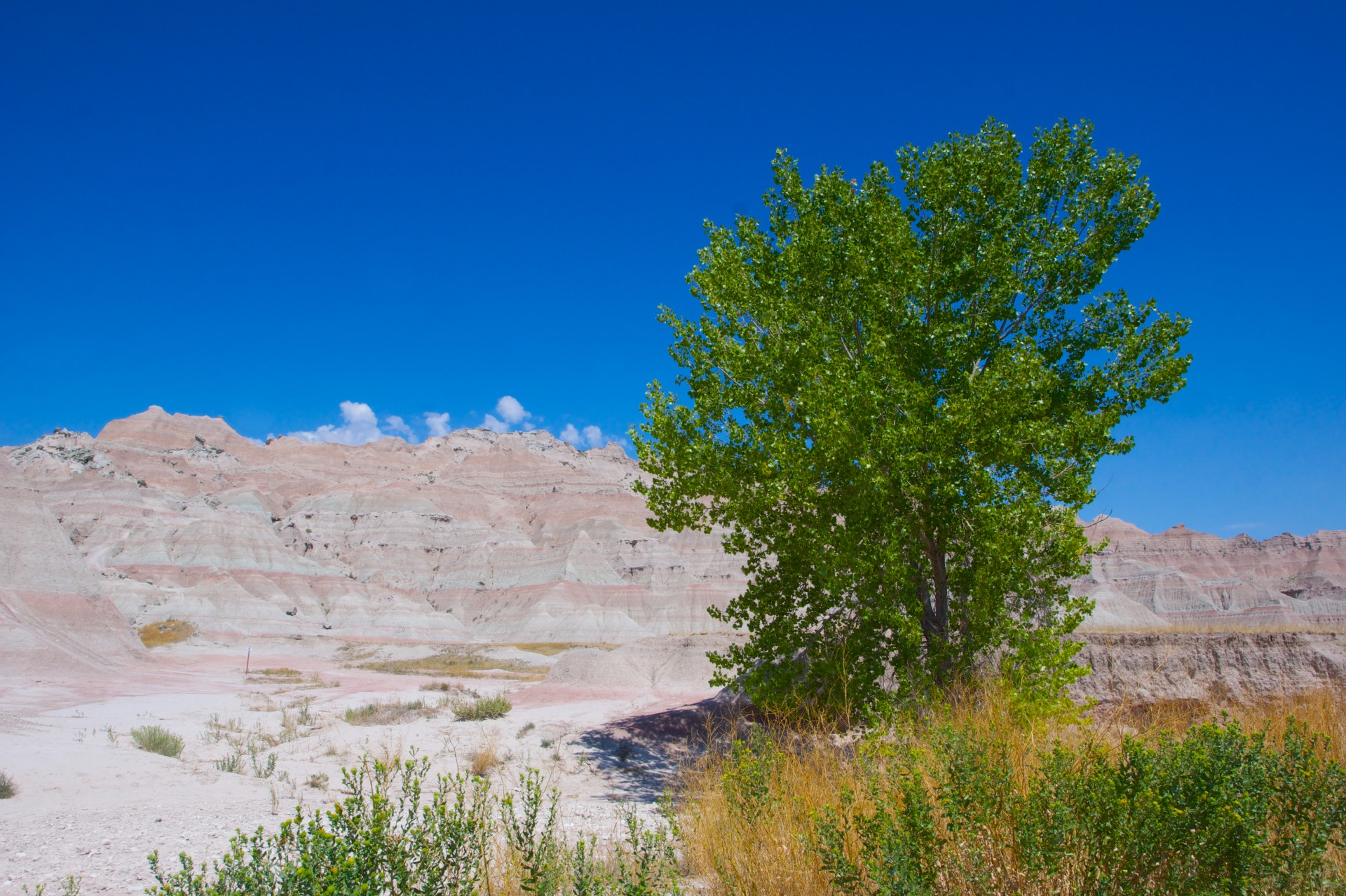 badlands badlands national park green free photo