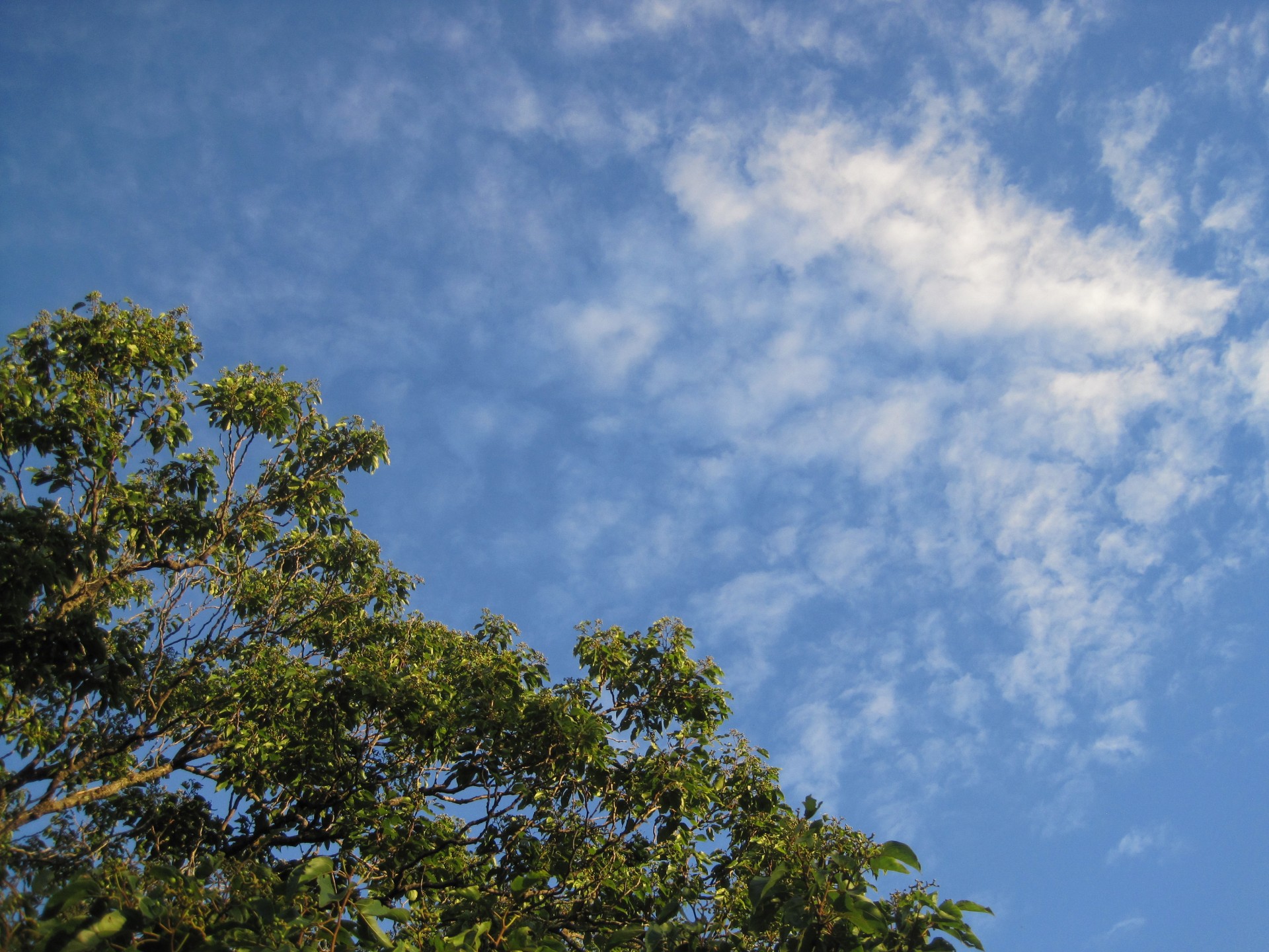 sky blue cloud free photo