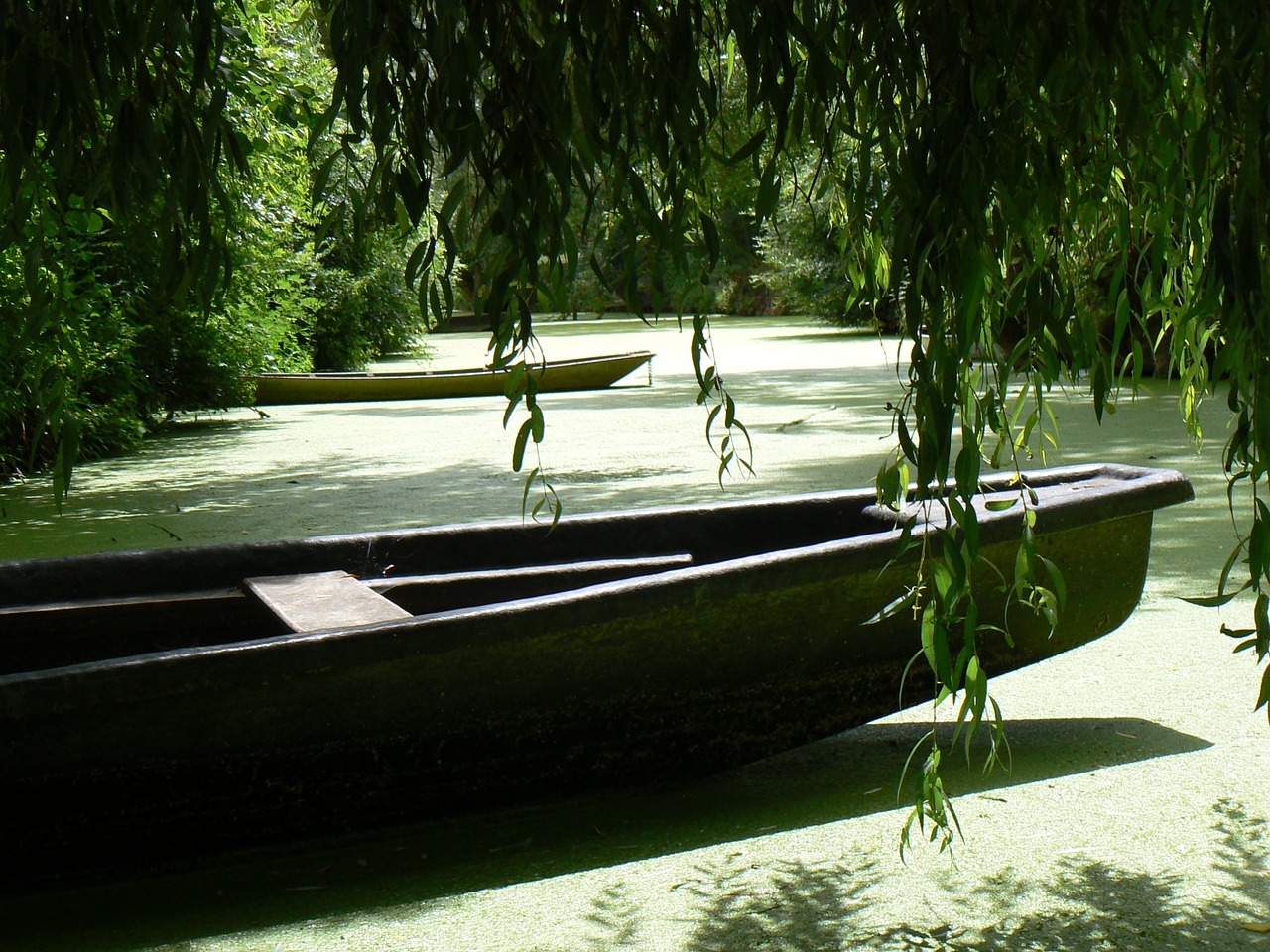 green venice boat nature free photo