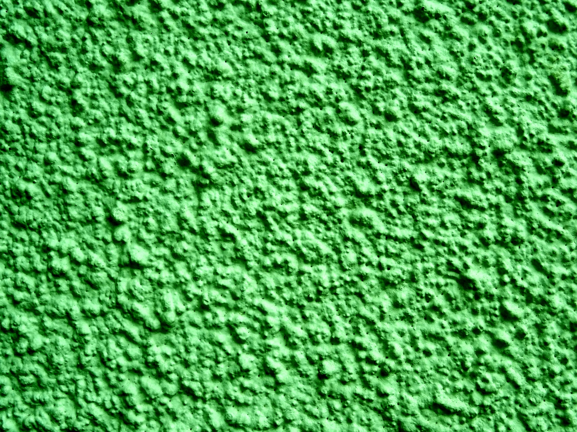 green background web free photo