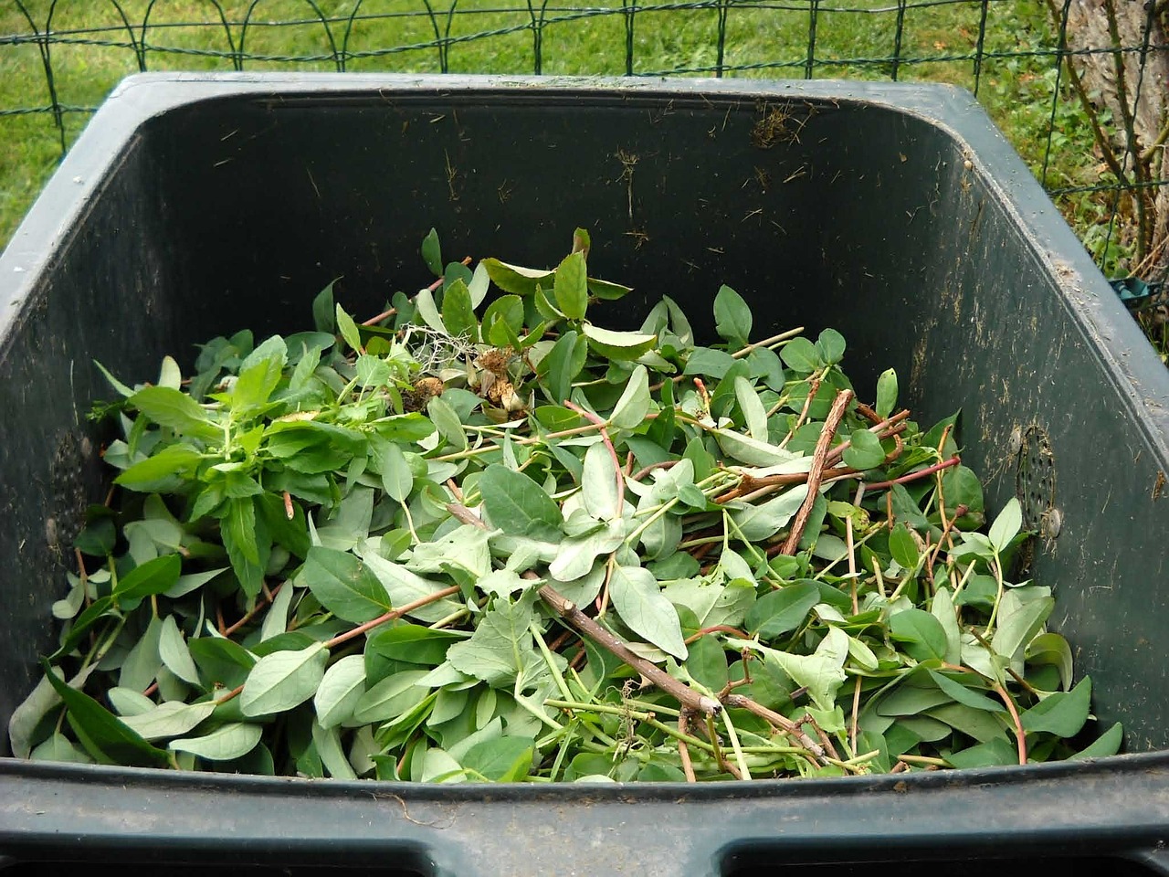 green waste composting recycling free photo