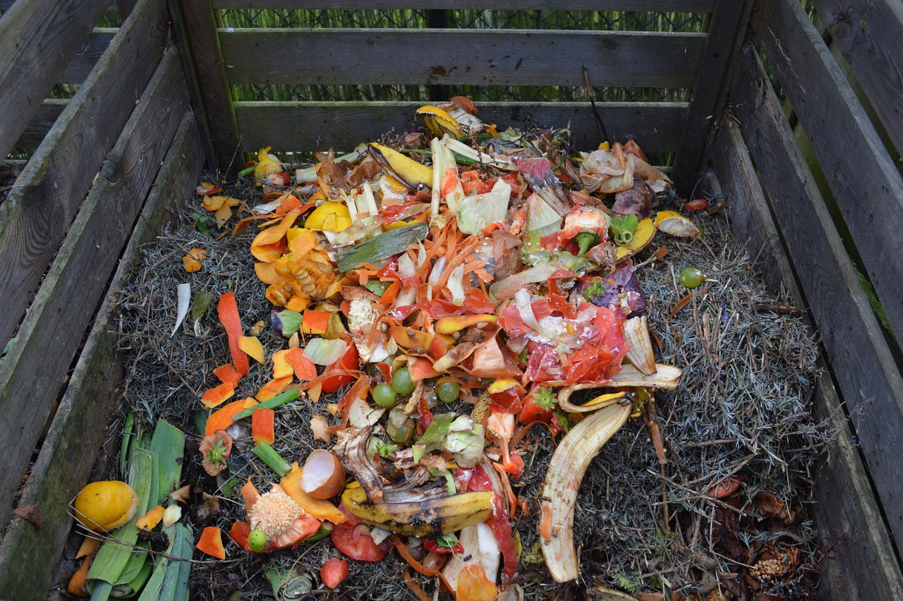 green waste compost compost bin free photo