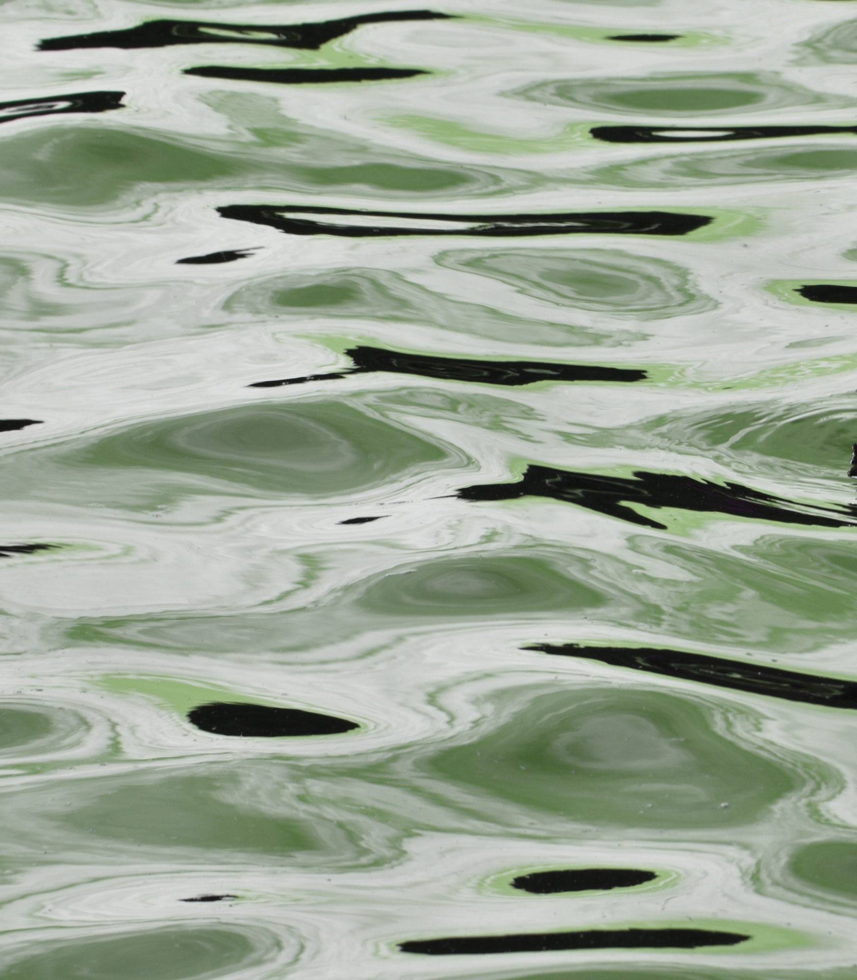 water ripples green free photo