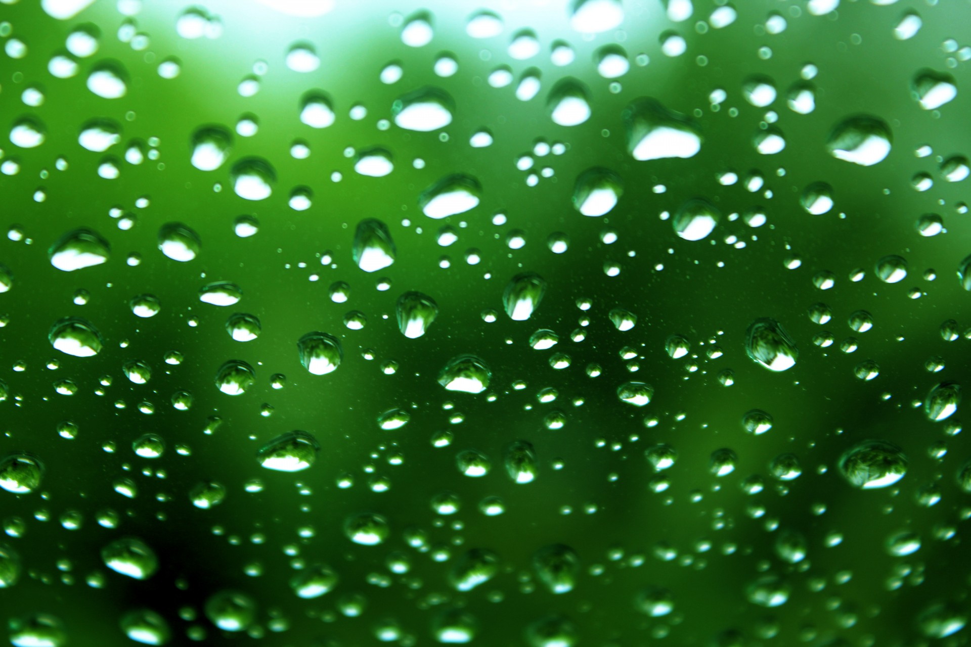 Green water drops background,green,water drops,background,green background  - free image from 