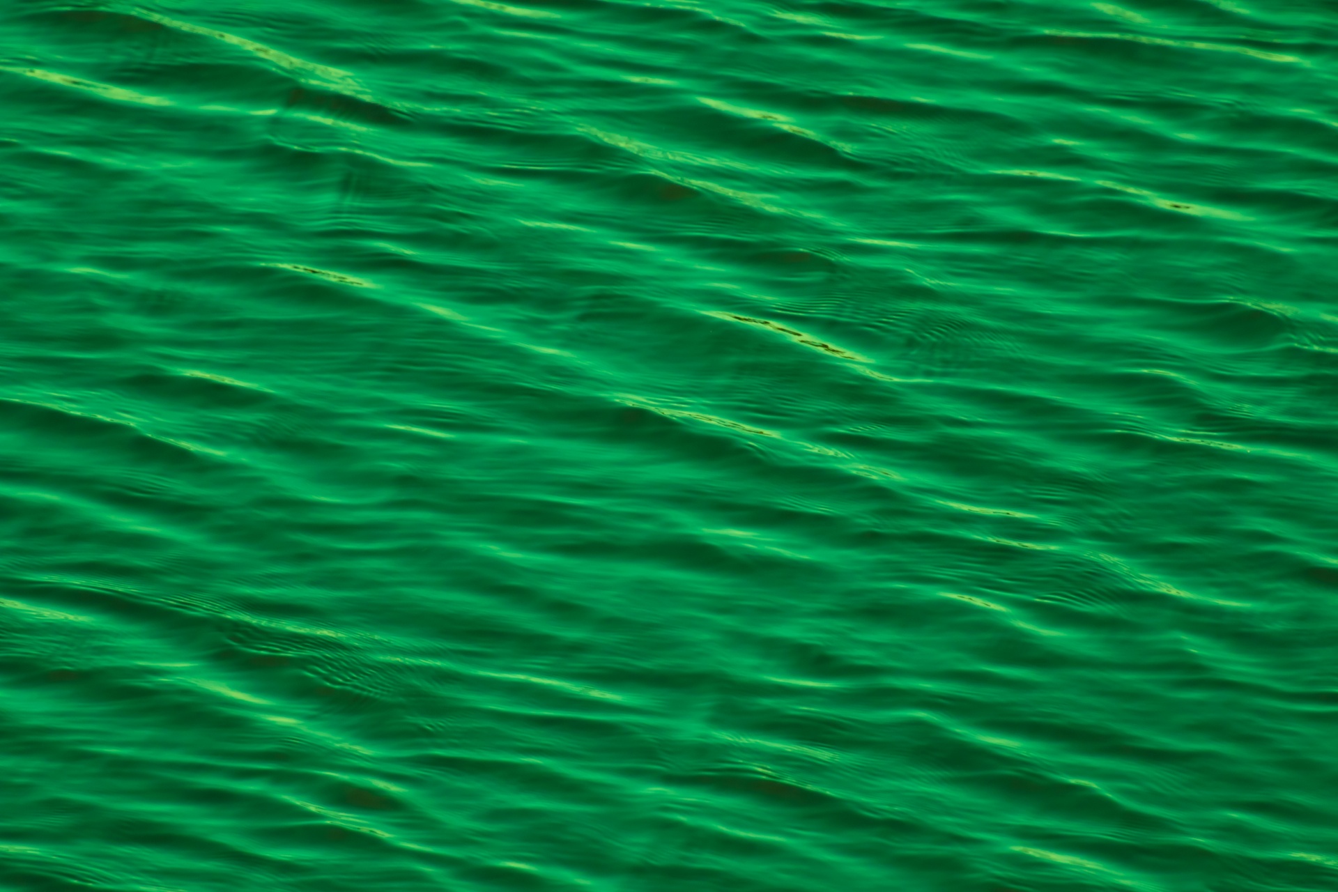 abstract aqua background free photo