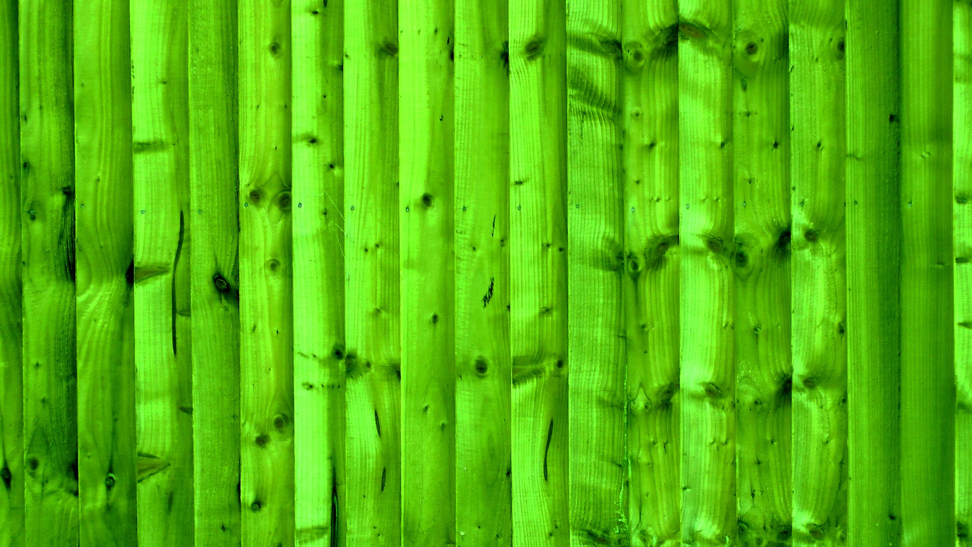 green background web free photo