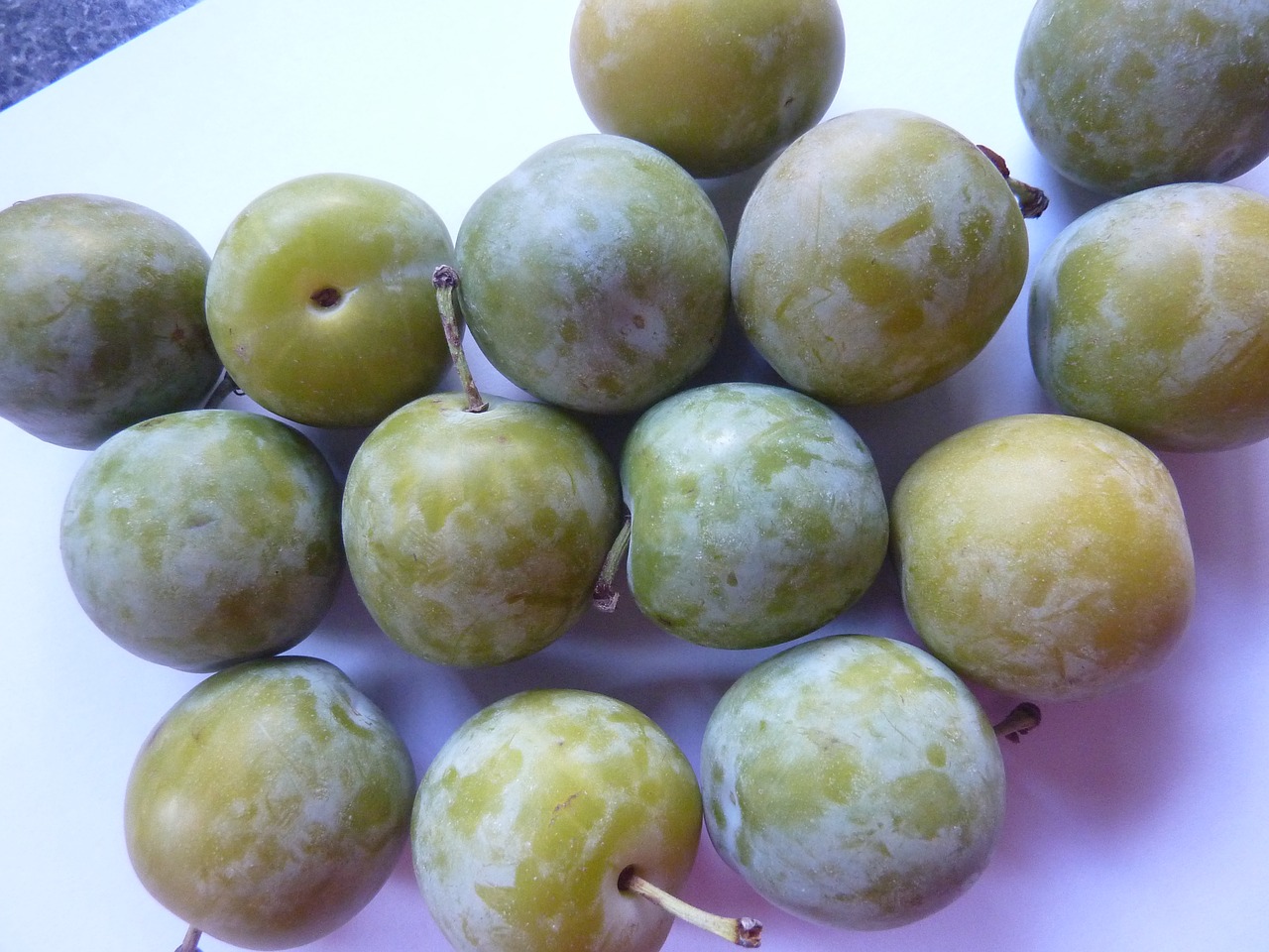 greengages gages fruit free photo