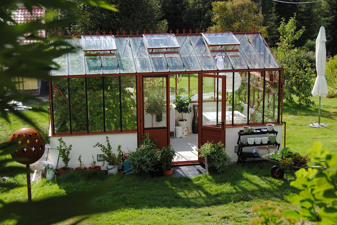 Download free photo of Greenhouse,summer,grow,green,flowers - from needpix.com