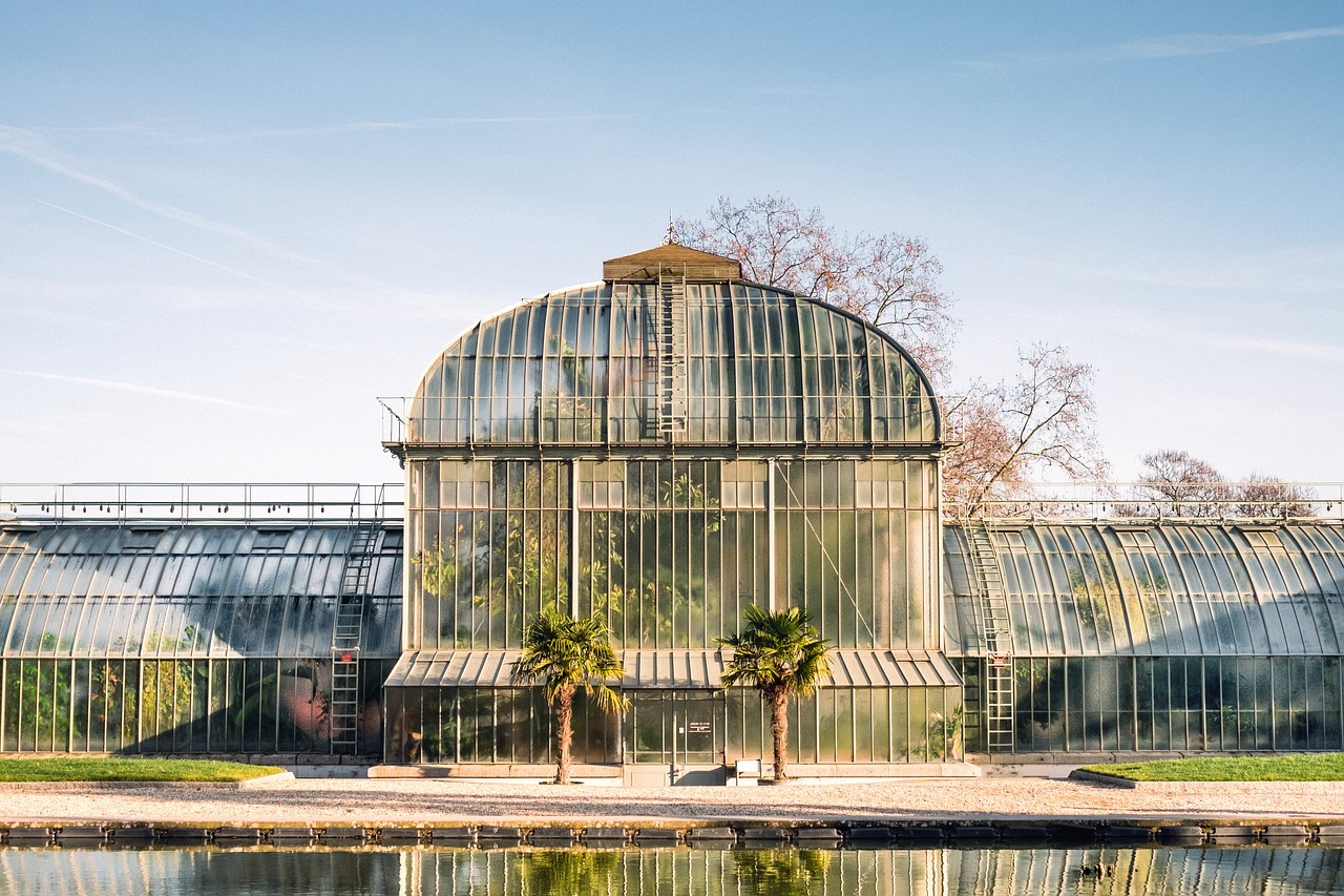 greenhouse garden plants free photo