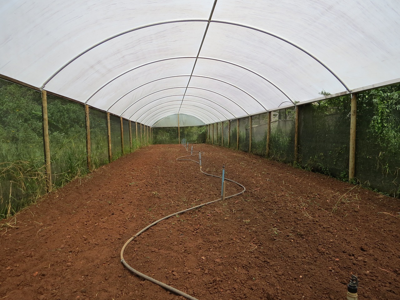 greenhouse agriculture site free photo