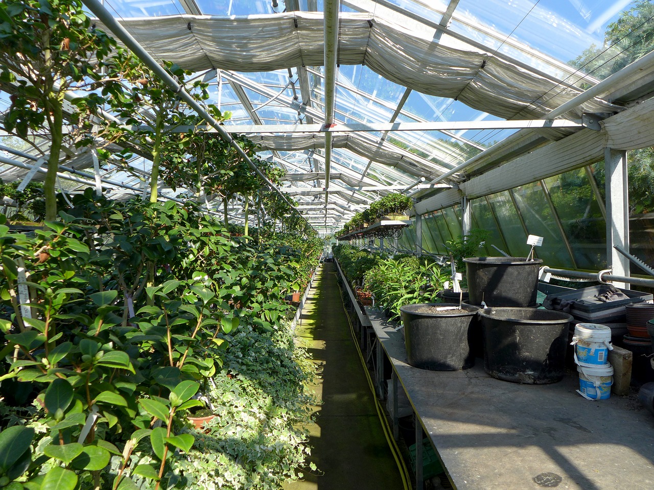 greenhouse plant pots free photo