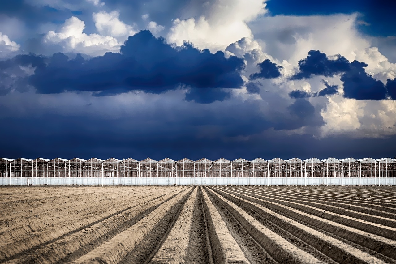 greenhouse farming agriculture free photo