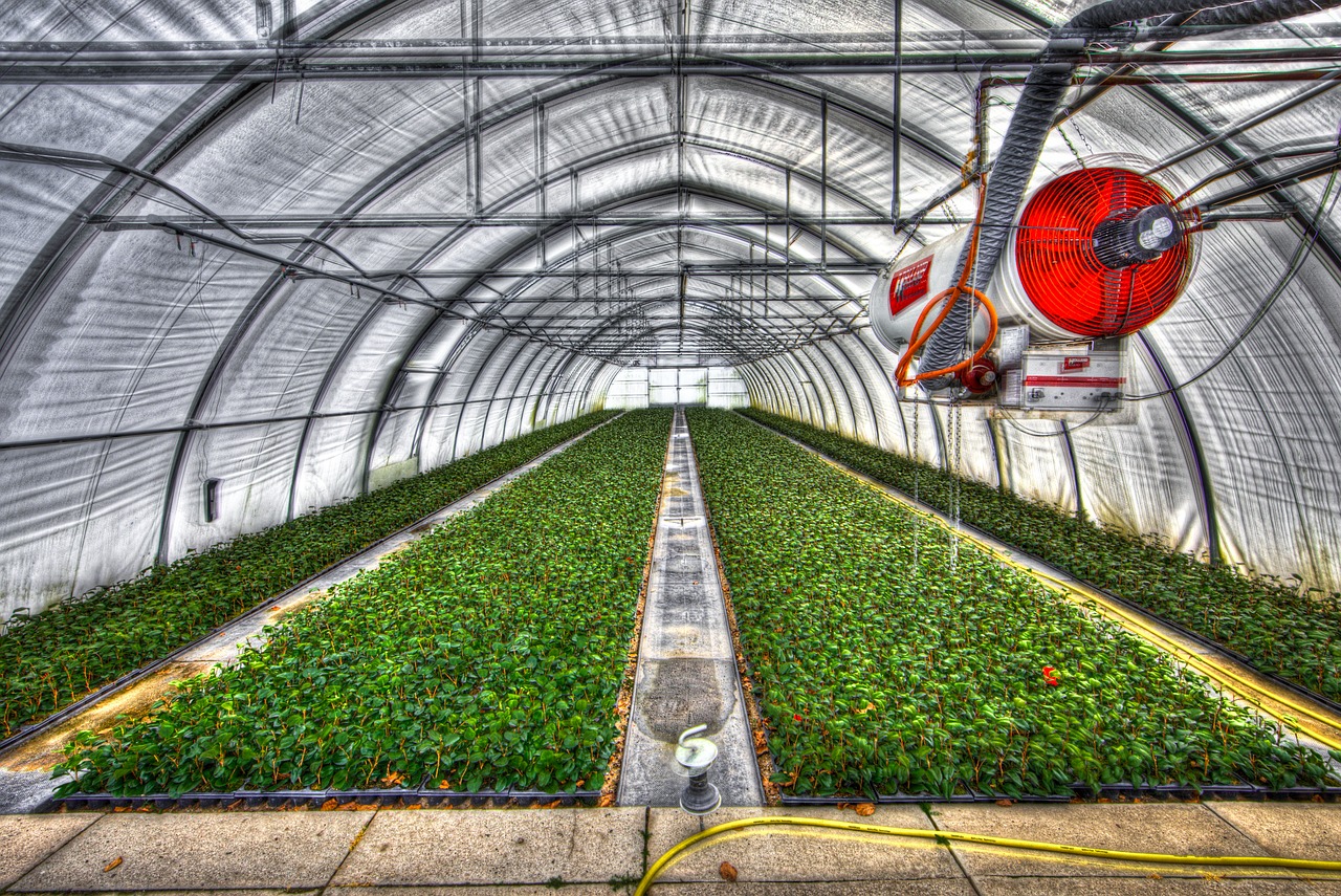 greenhouse slide tunnel crops free photo