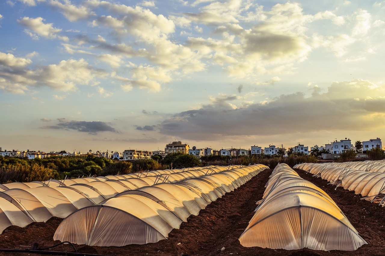 greenhouse hothouse agriculture free photo