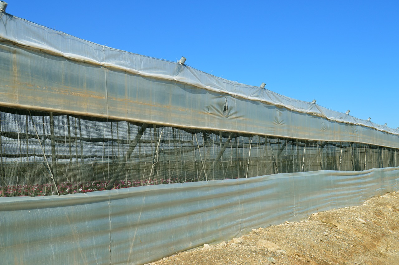 greenhouse cultivation plastic free photo