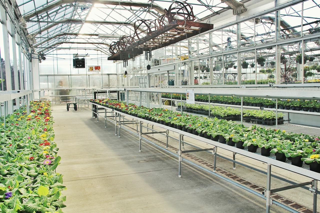 greenhouse industry business free photo
