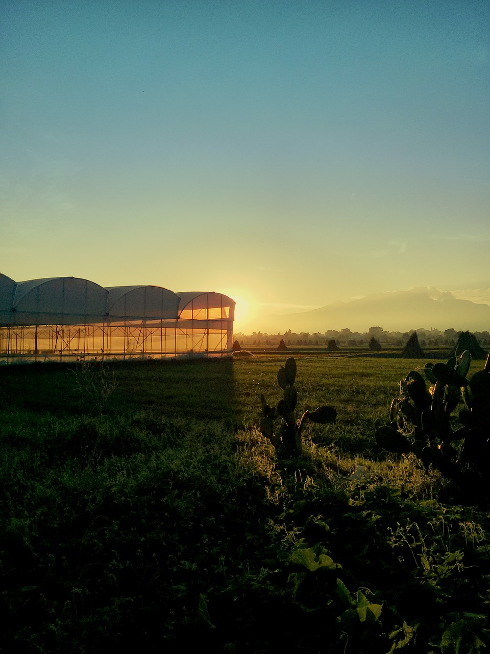 greenhouse  sky  landscapes free photo