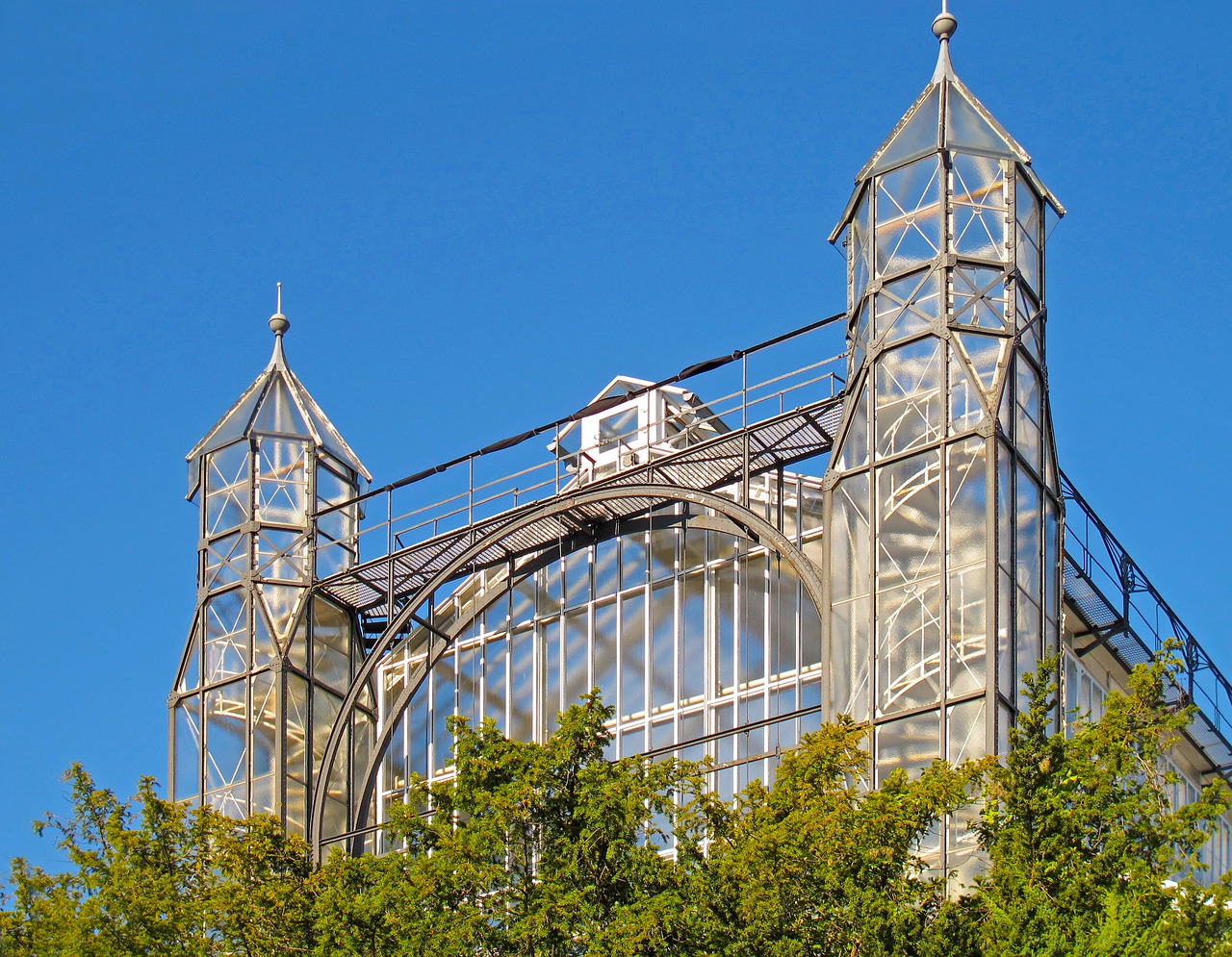 greenhouse botanical garden glass free photo