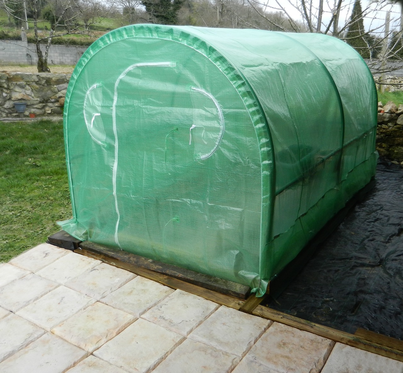 greenhouse exterior plants free photo