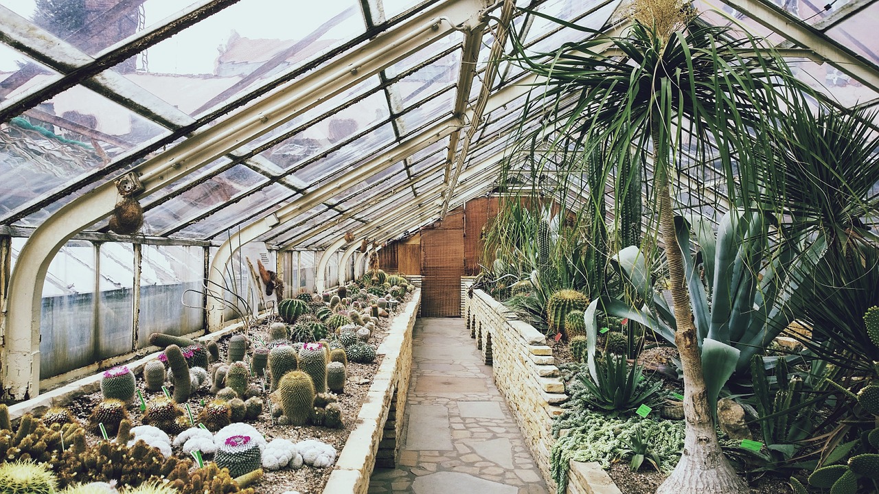 greenhouse cultivation desert free photo