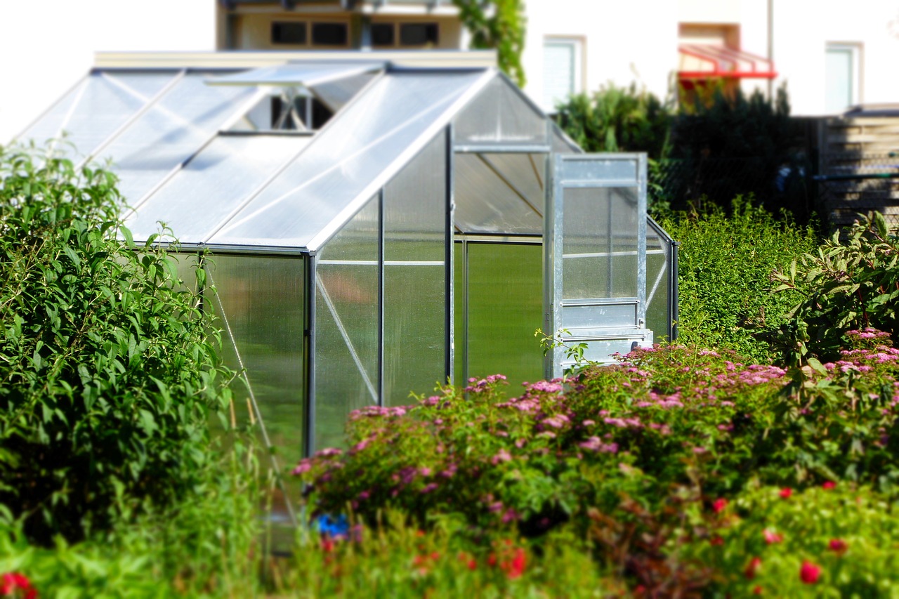 greenhouse garden glass house free photo