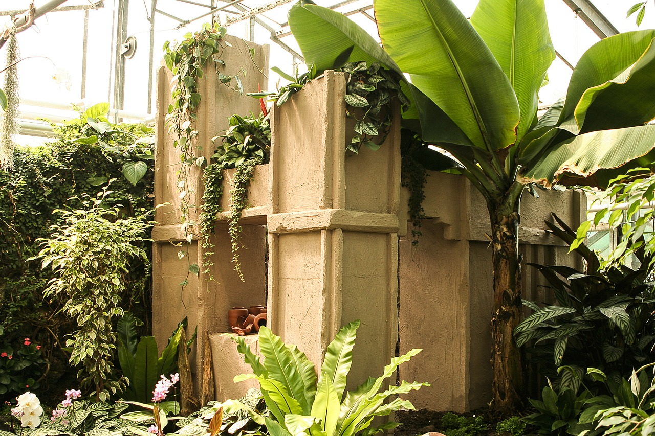 greenhouse tropical house terracotta free photo