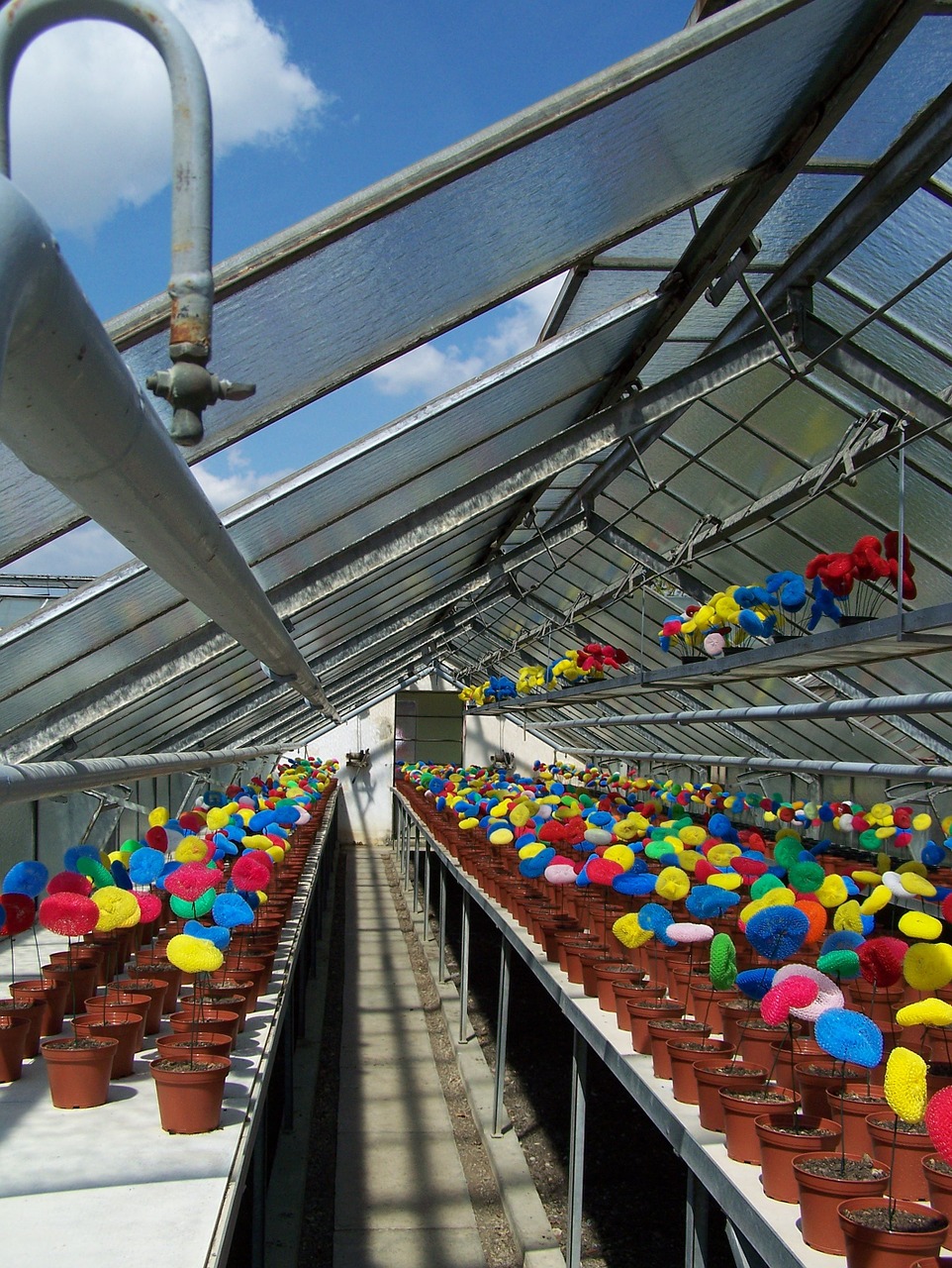 greenhouse installation flowerpot free photo