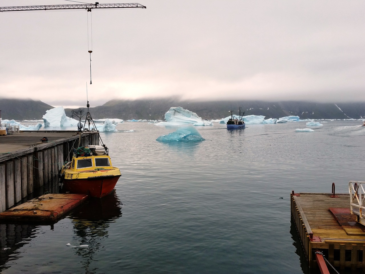 greenland  fjord  icebergs free photo