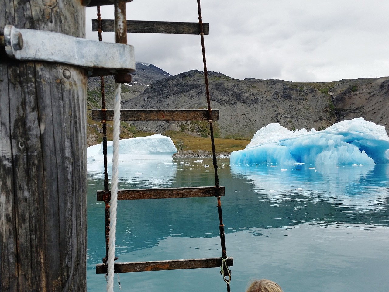 greenland  sailing  icebergs free photo