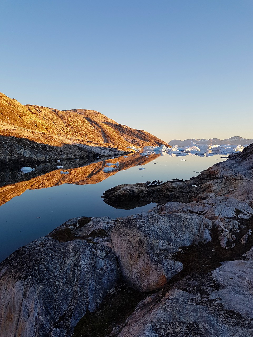 greenland  reflection  iceberg free photo