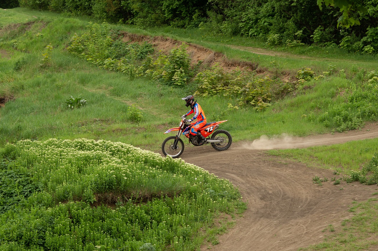 greens  leaves  motocross free photo