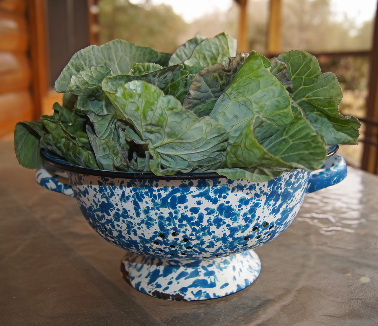 greens collards veggies free photo