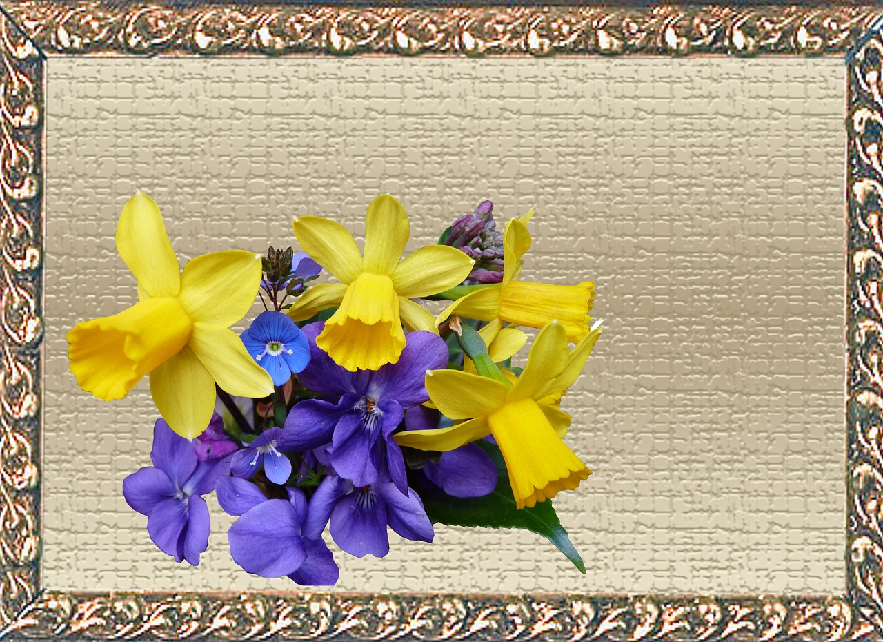 greeting card spring flowers free photo