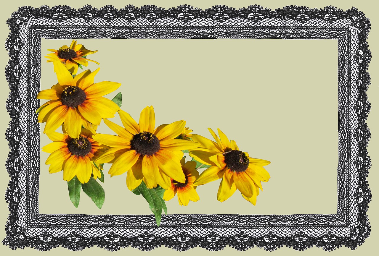 greeting card yellow flower free photo